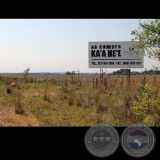 STEVIA - BLOOMBERG NEWS - Photographer: Carlos Bittar - Año 2008